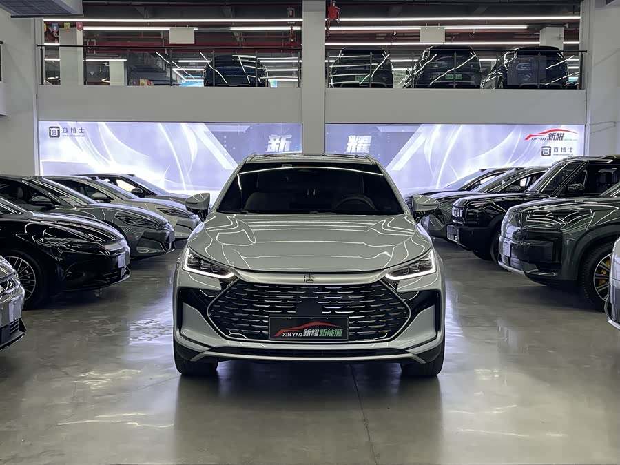 BYD Tang New Energy 2024, фото 2
