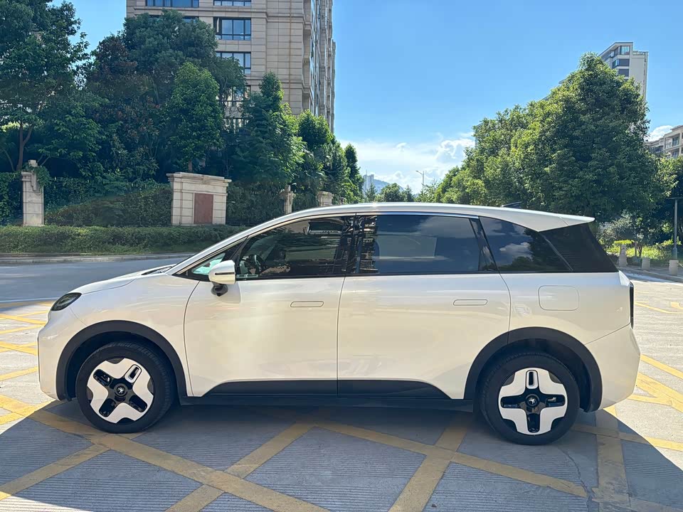 ARCFOX Polar Fox Koala S