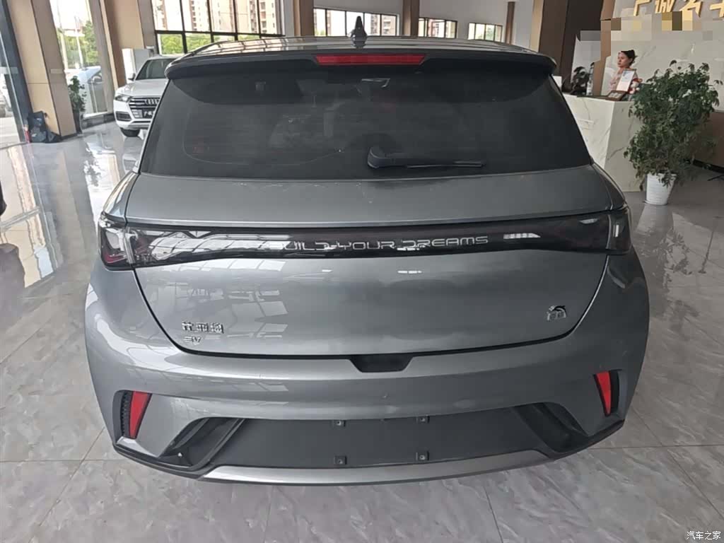 BYD Dolphin, 2023 6