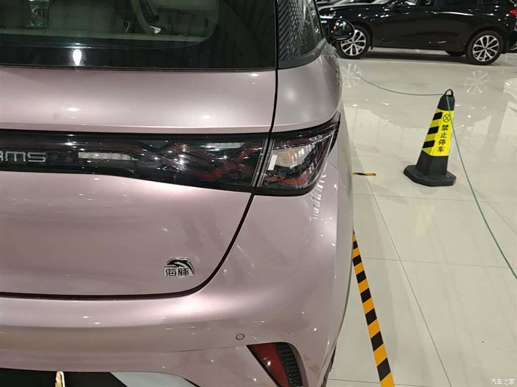 BYD Dolphin, 2022 8