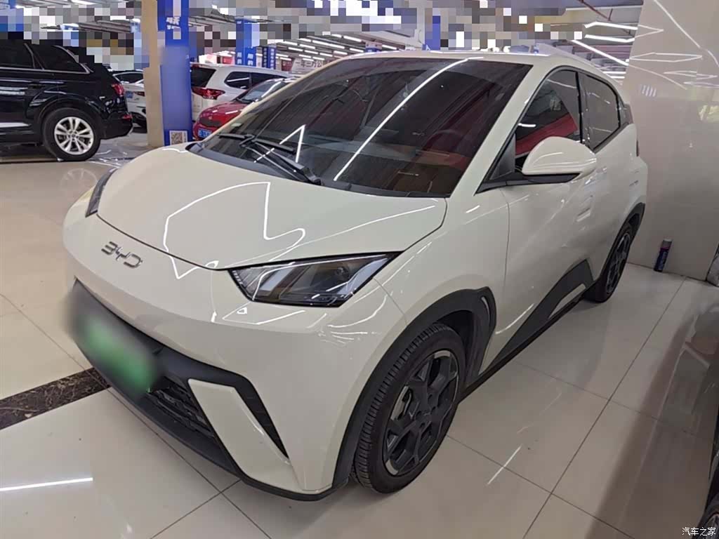 BYD Seagull, 2024 1