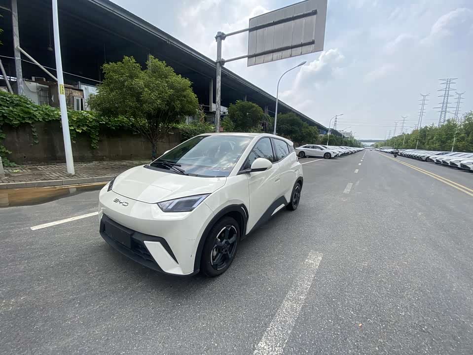 BYD Seagull