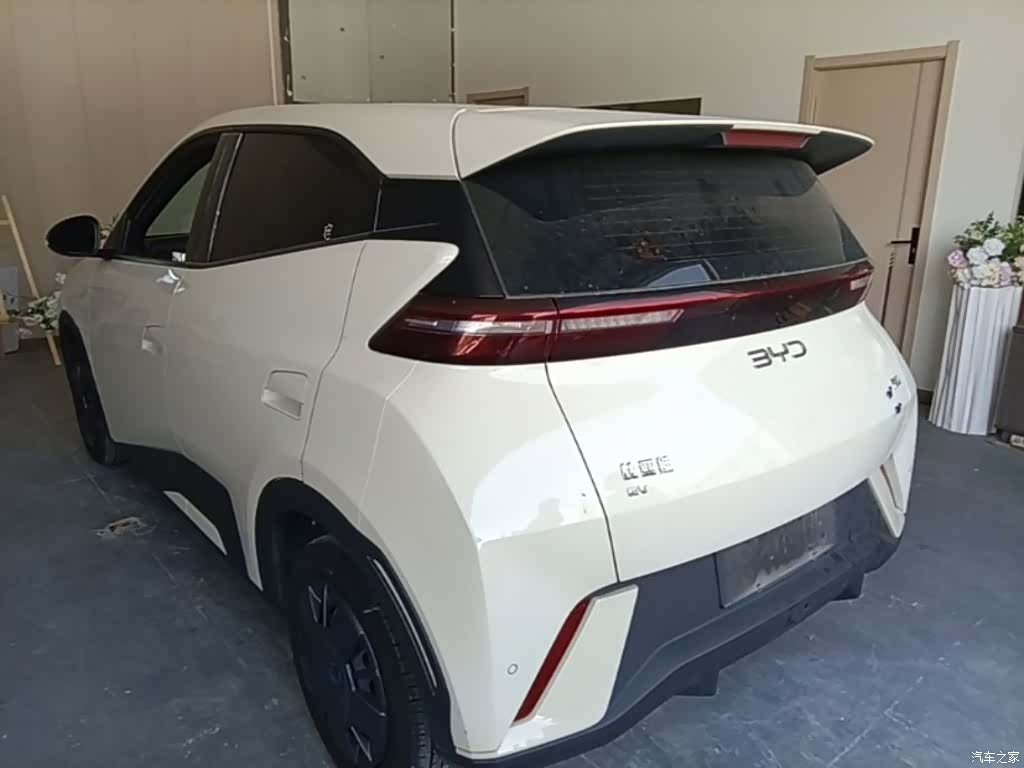 BYD Seagull, 2024 все фото