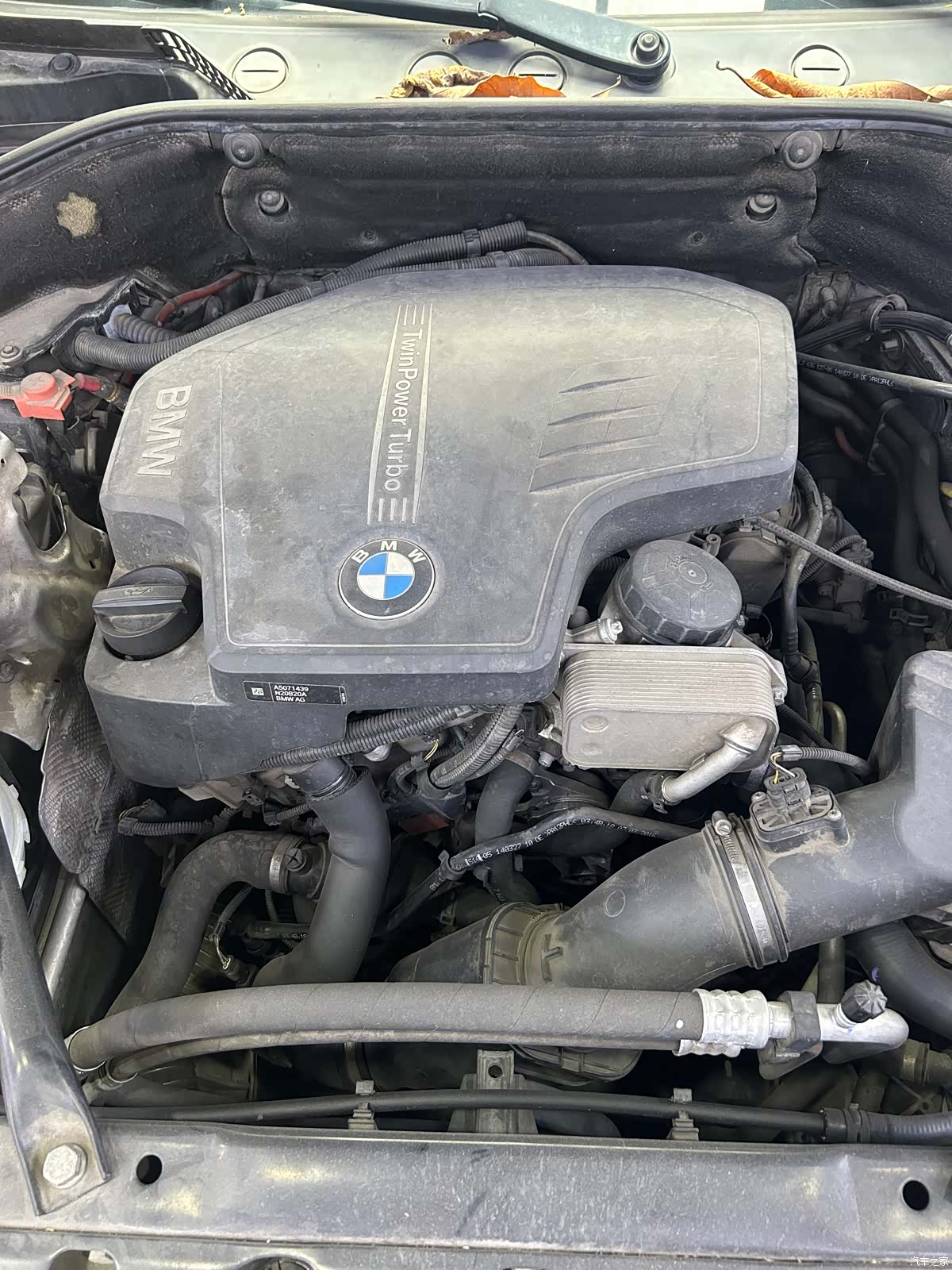 BMW 5 Series, 2016 14