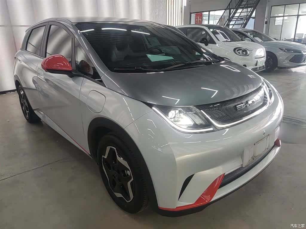 BYD Dolphin, 2021 4