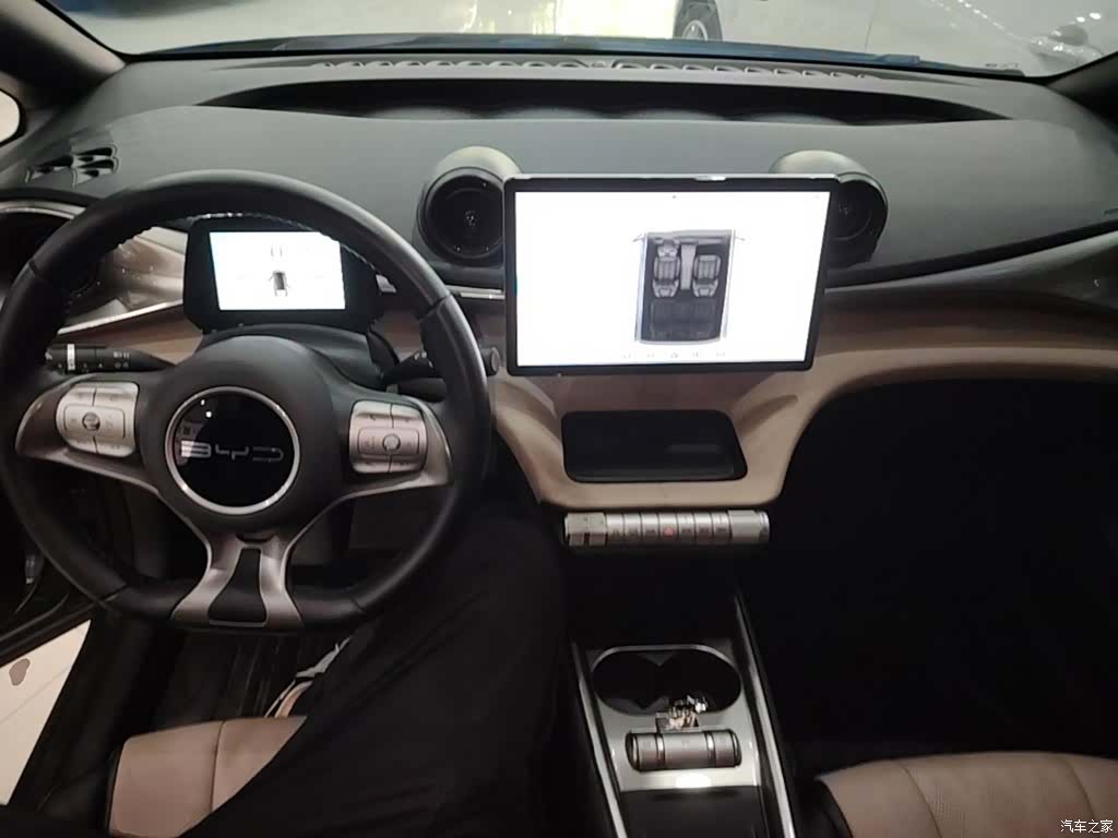 BYD Dolphin, 2024 10