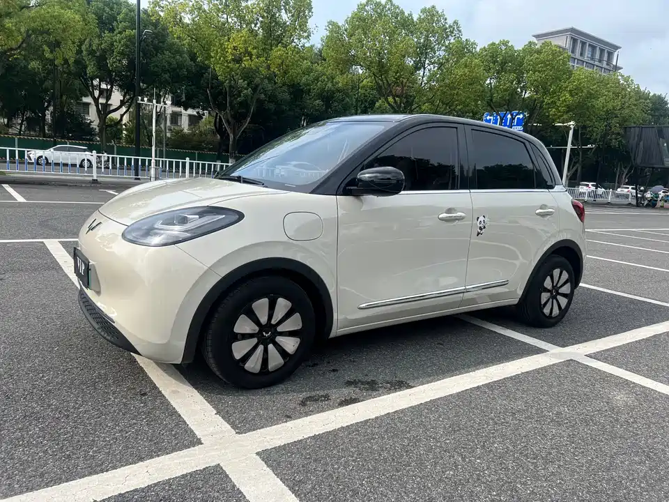 Wuling Wuling Bingguo