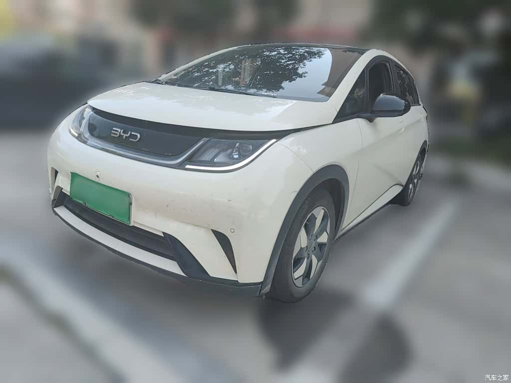 BYD Dolphin, 2025 1