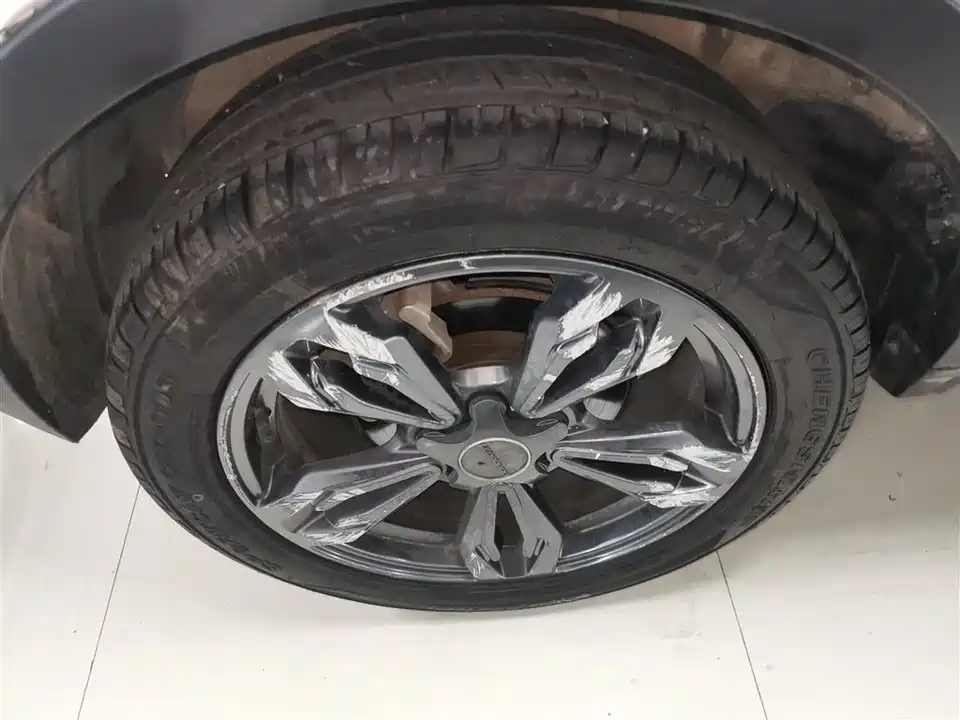 Leopaard Cheetah CS9