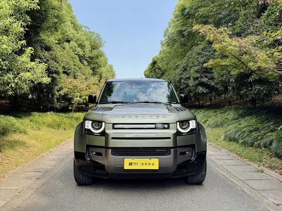 Land Rover guard