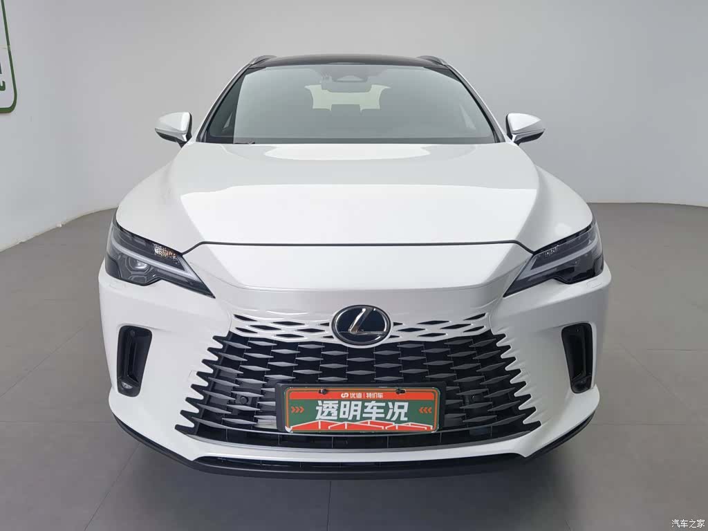 Lexus RX, 2024 3