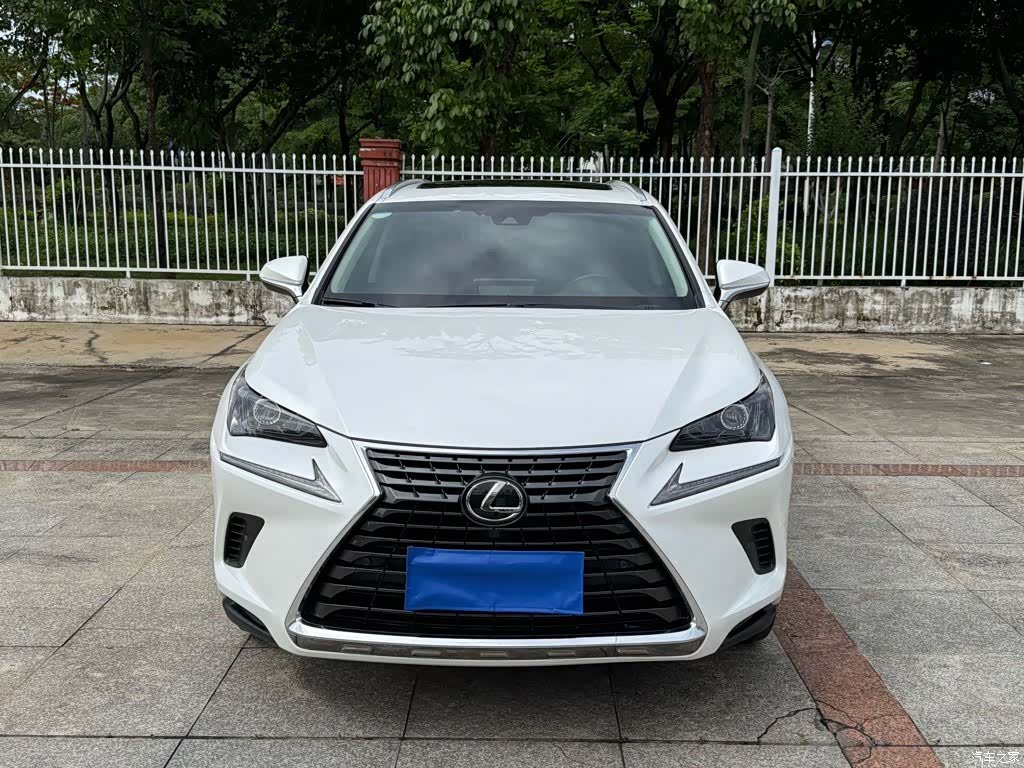Lexus NX, 2018 2