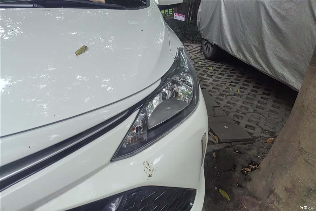 Toyota FS, 2017 все фото
