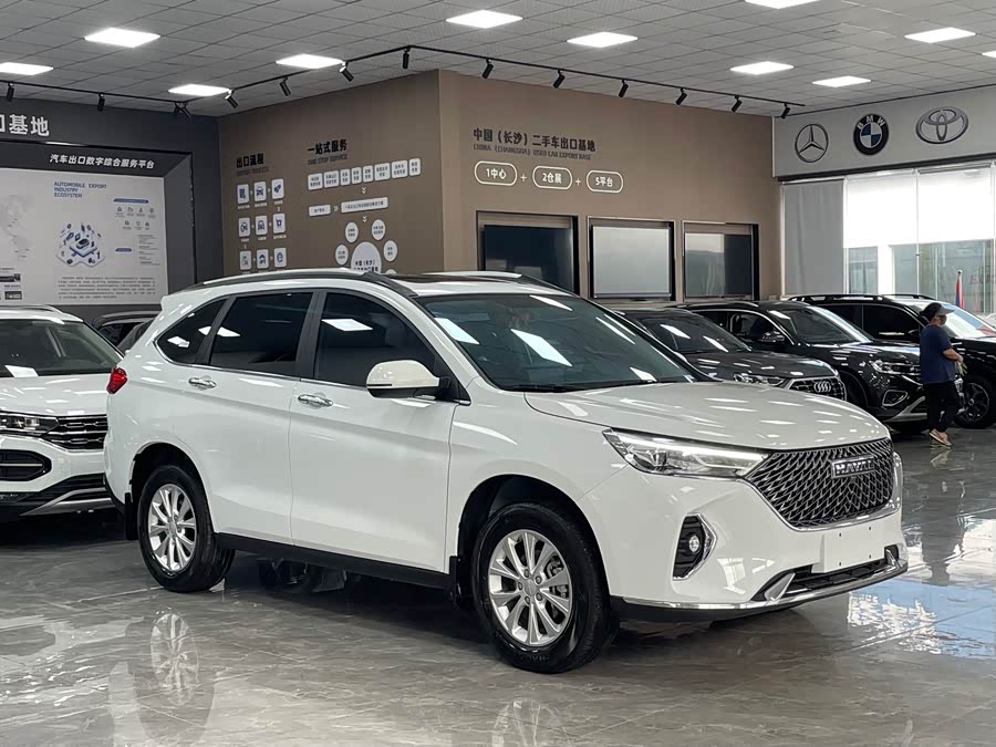 Haval Haval M6 2023, фото 3