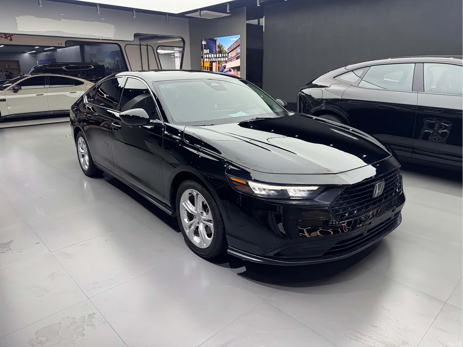 Honda Accord, 2023 3