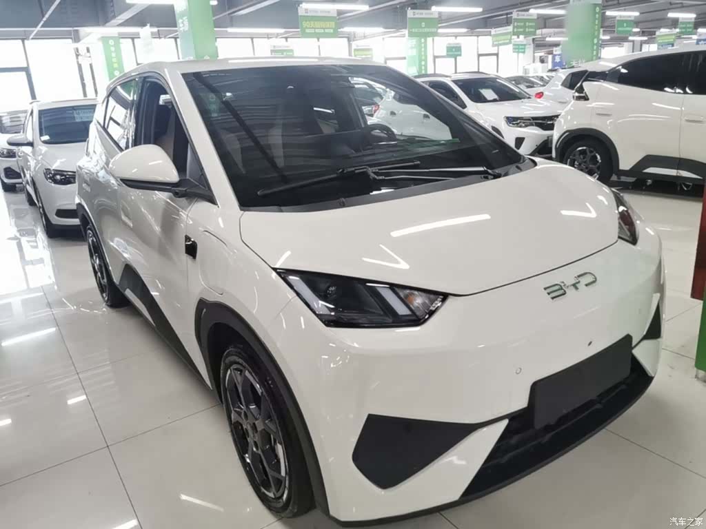 BYD Seagull, 2025 4