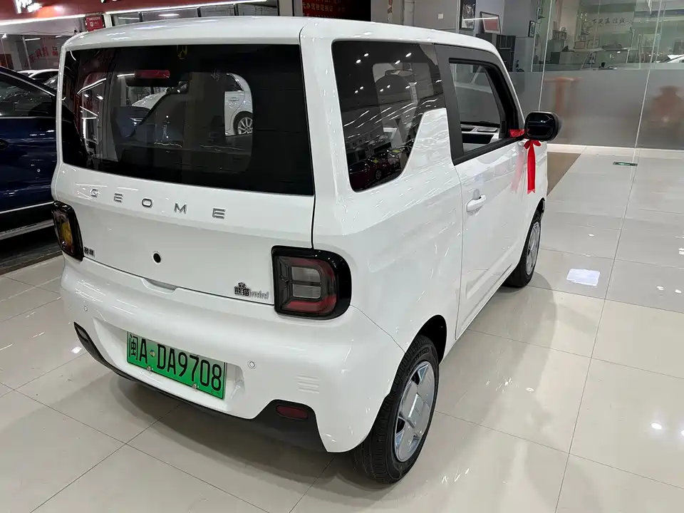 Geely Galaxy panda