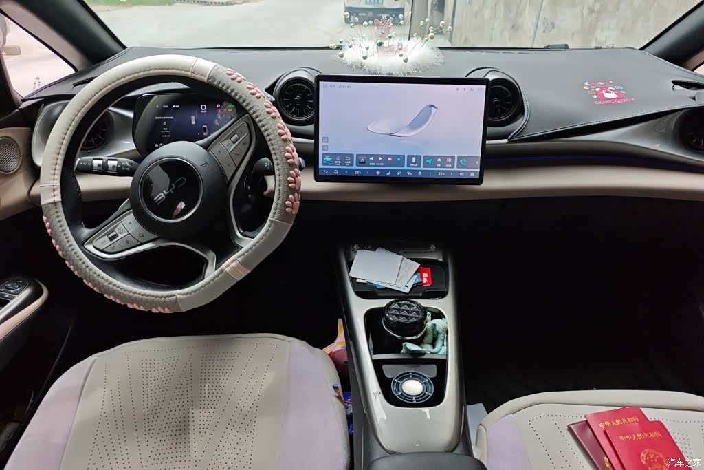 BYD Dolphin, 2025 12