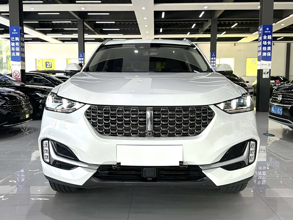 Weipai VV6