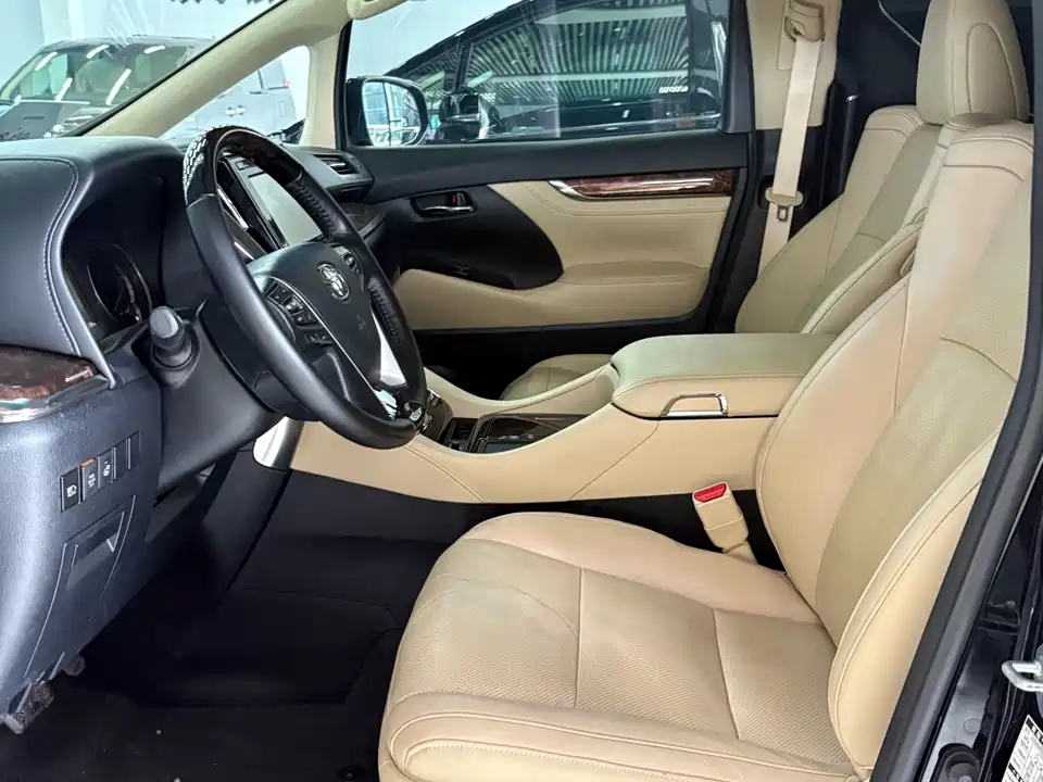Toyota Elfa