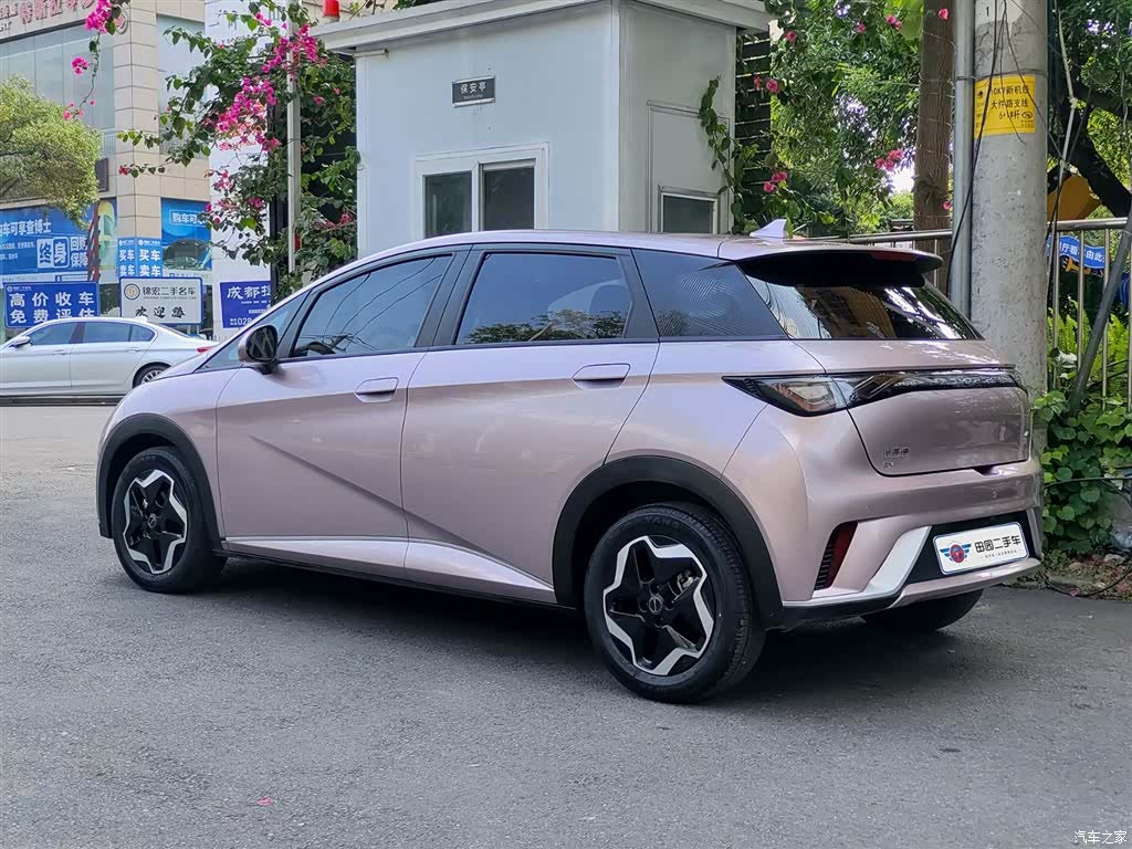 BYD Dolphin, 2022 4