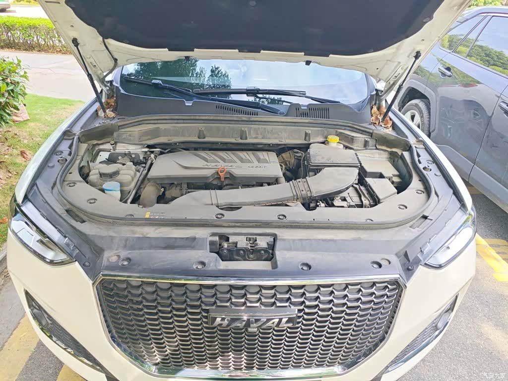 Haval F5, 2020 11