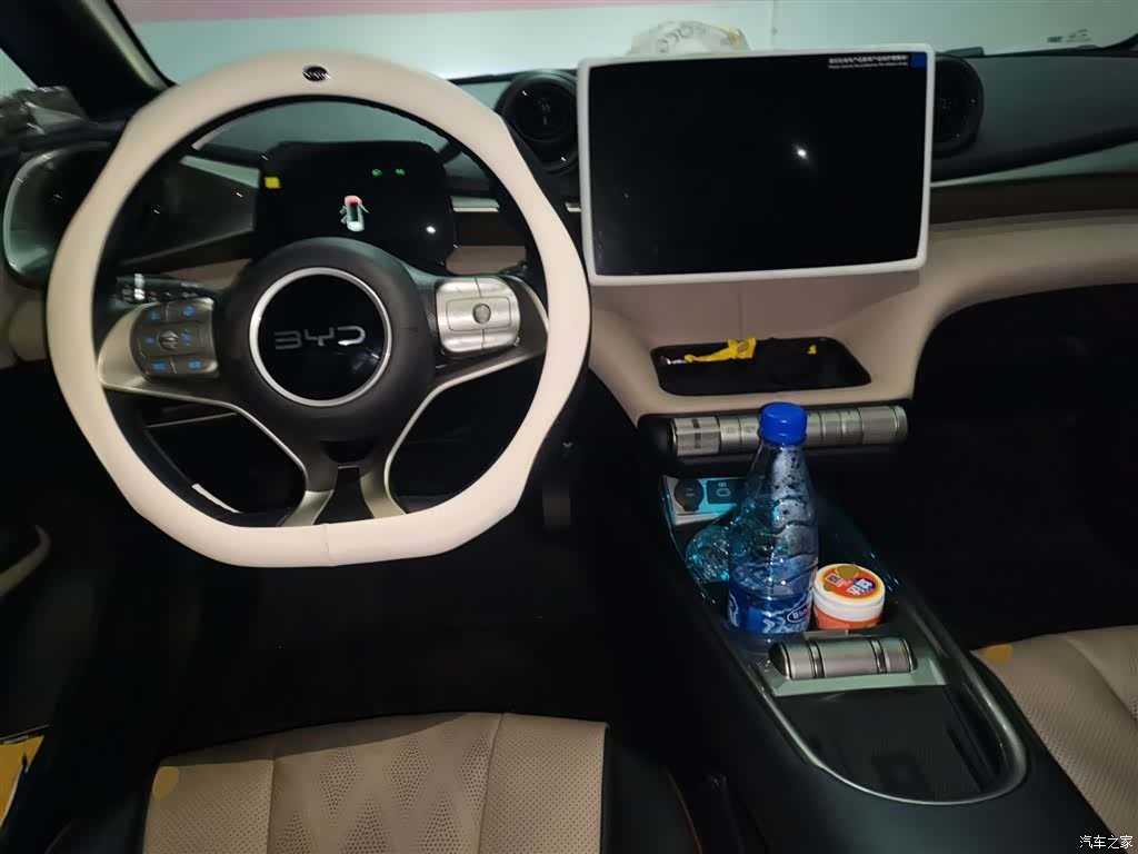 BYD Dolphin, 2024 13
