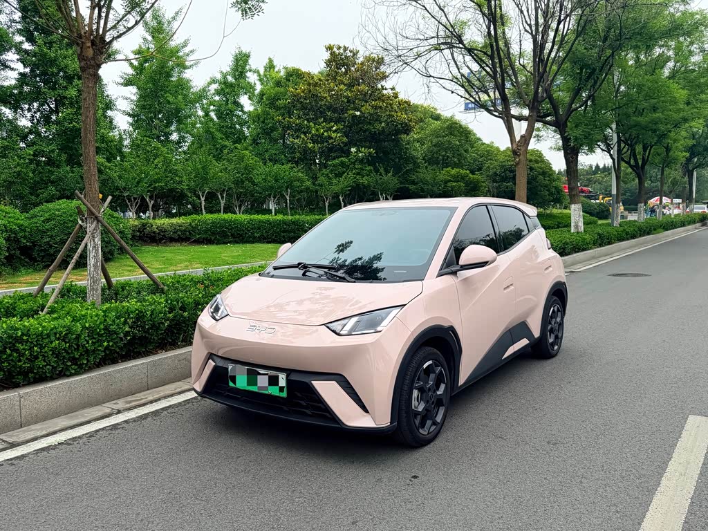 BYD Seagull