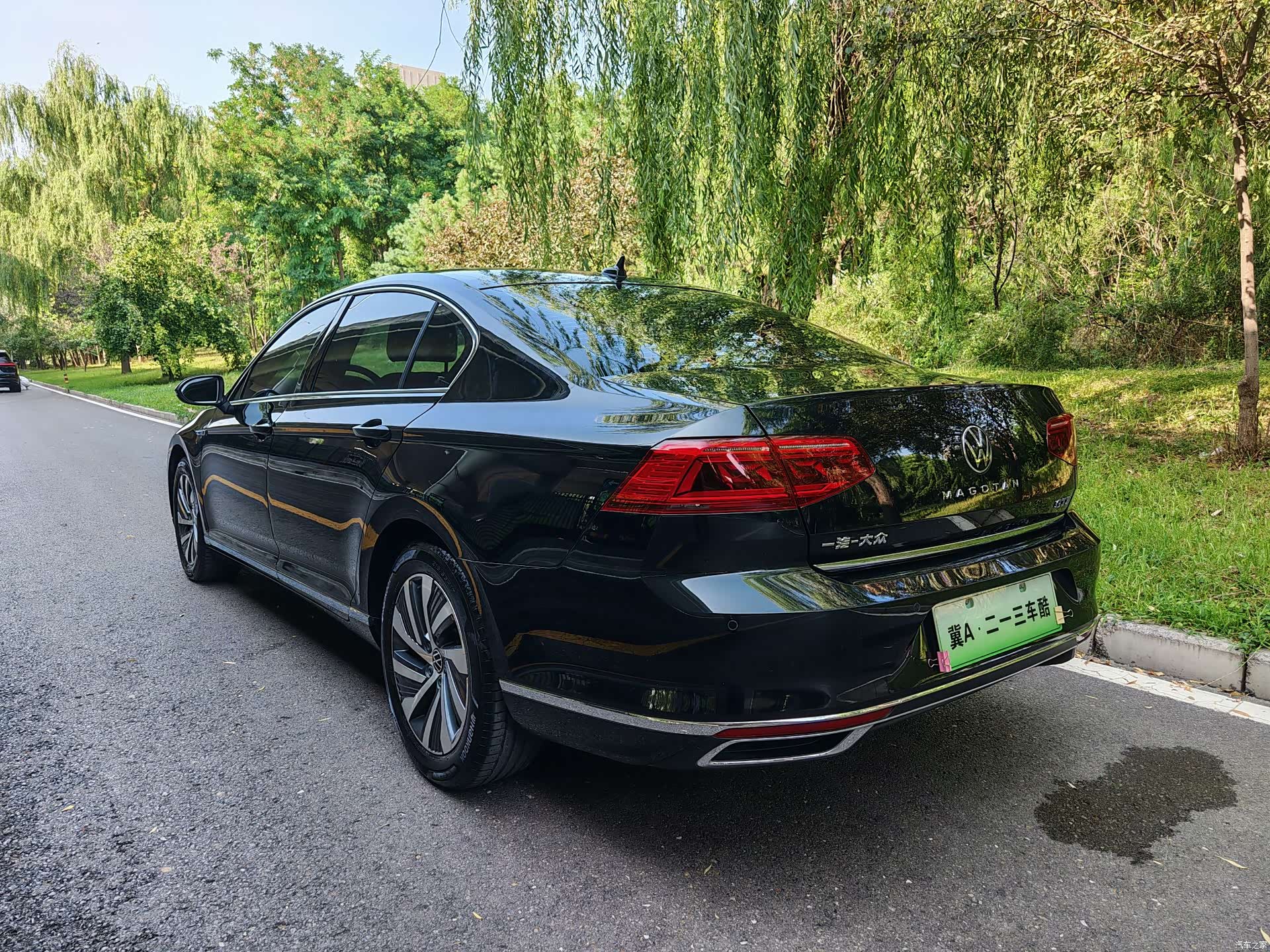 Volkswagen Magotan, 2023 12