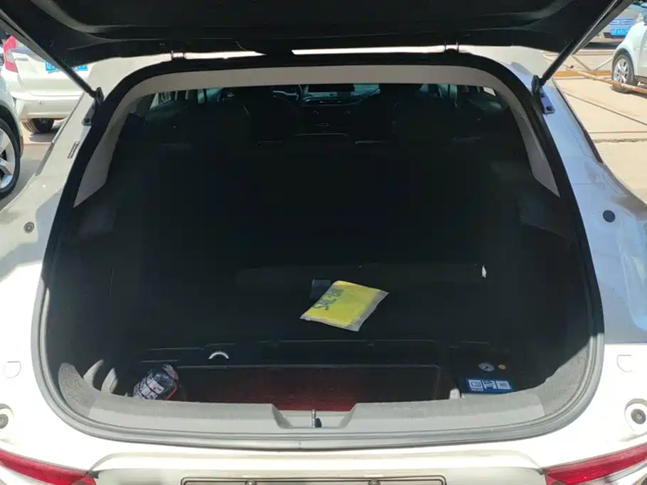 Buick Slightly blue 6