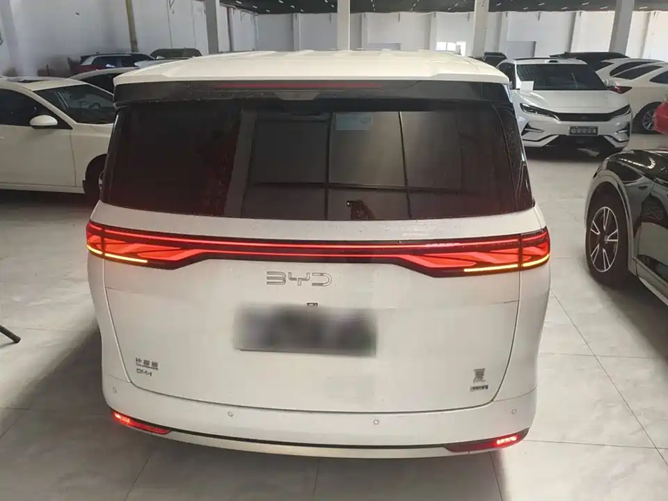 BYD summer BYD summer