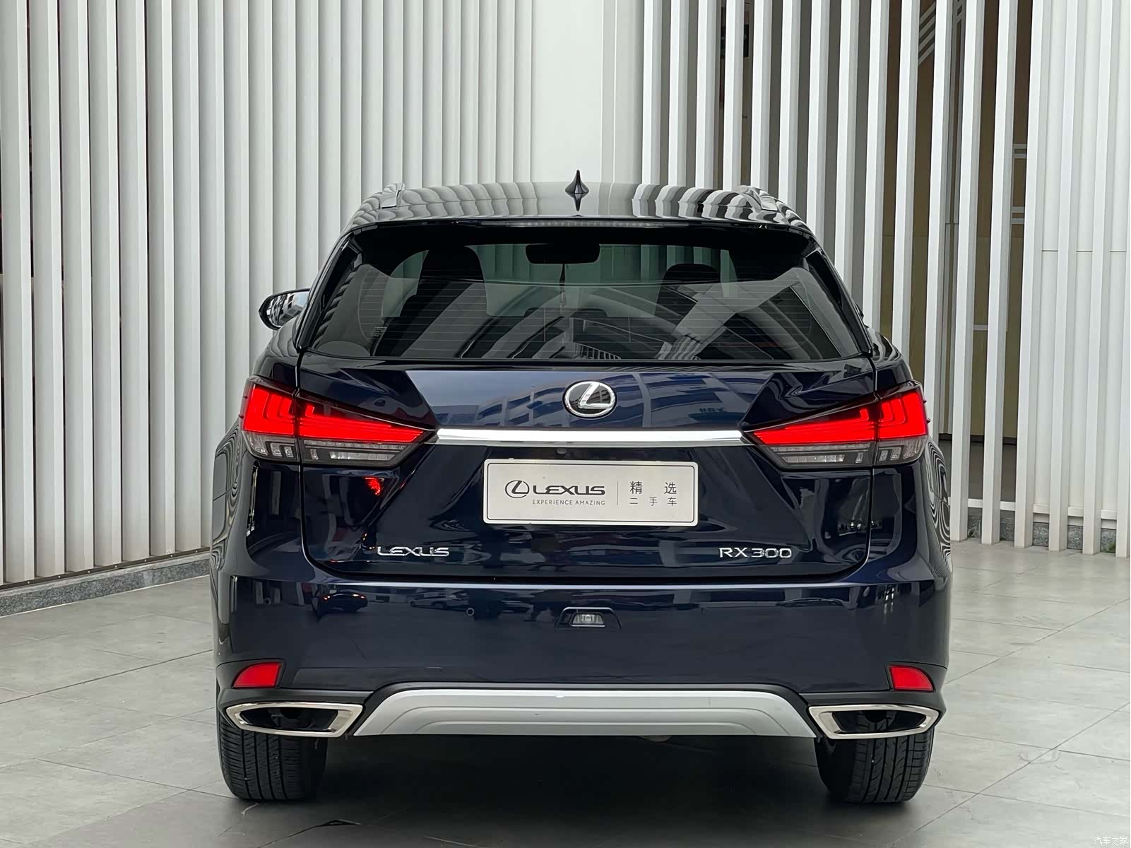 Lexus RX, 2021 11