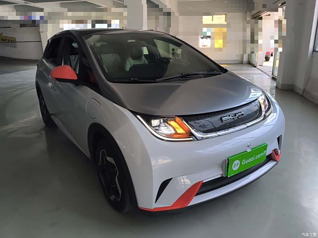 BYD Dolphin, 2021 4