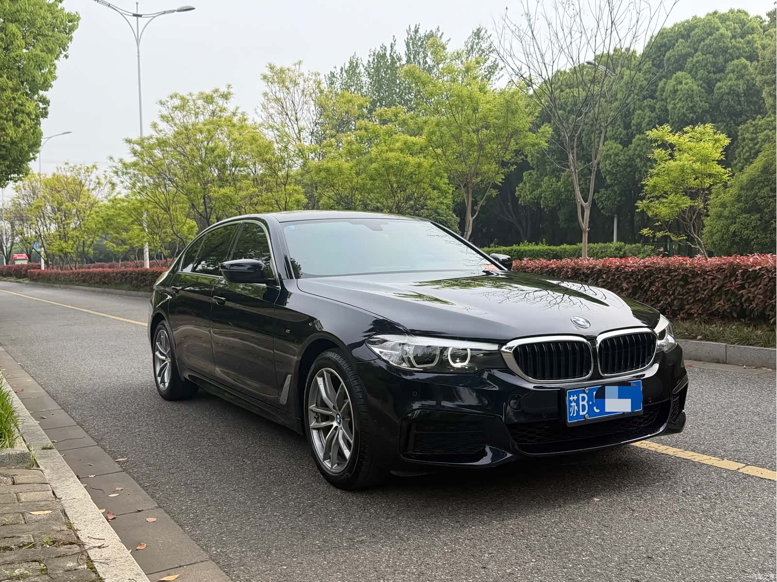 BMW 5 Series, 2020 3