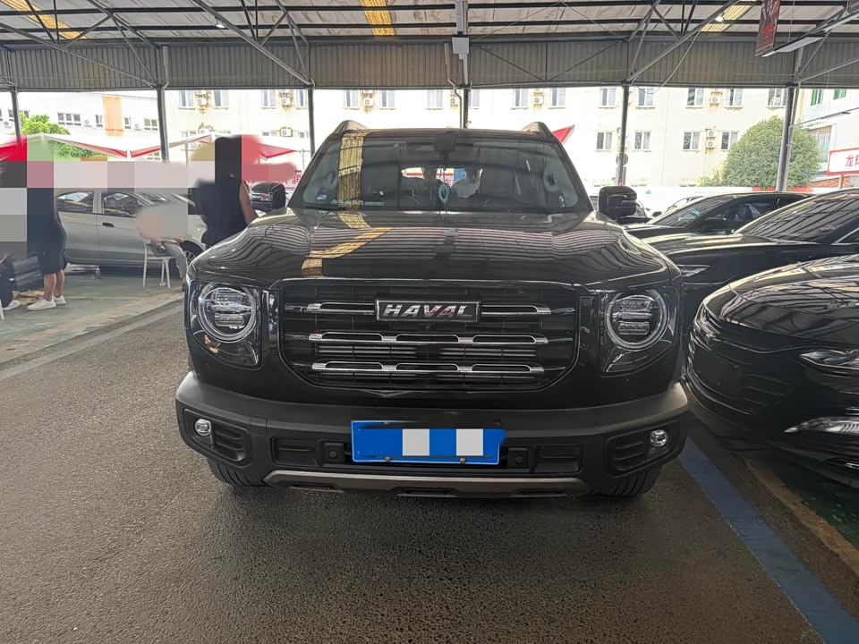 Haval Big dog