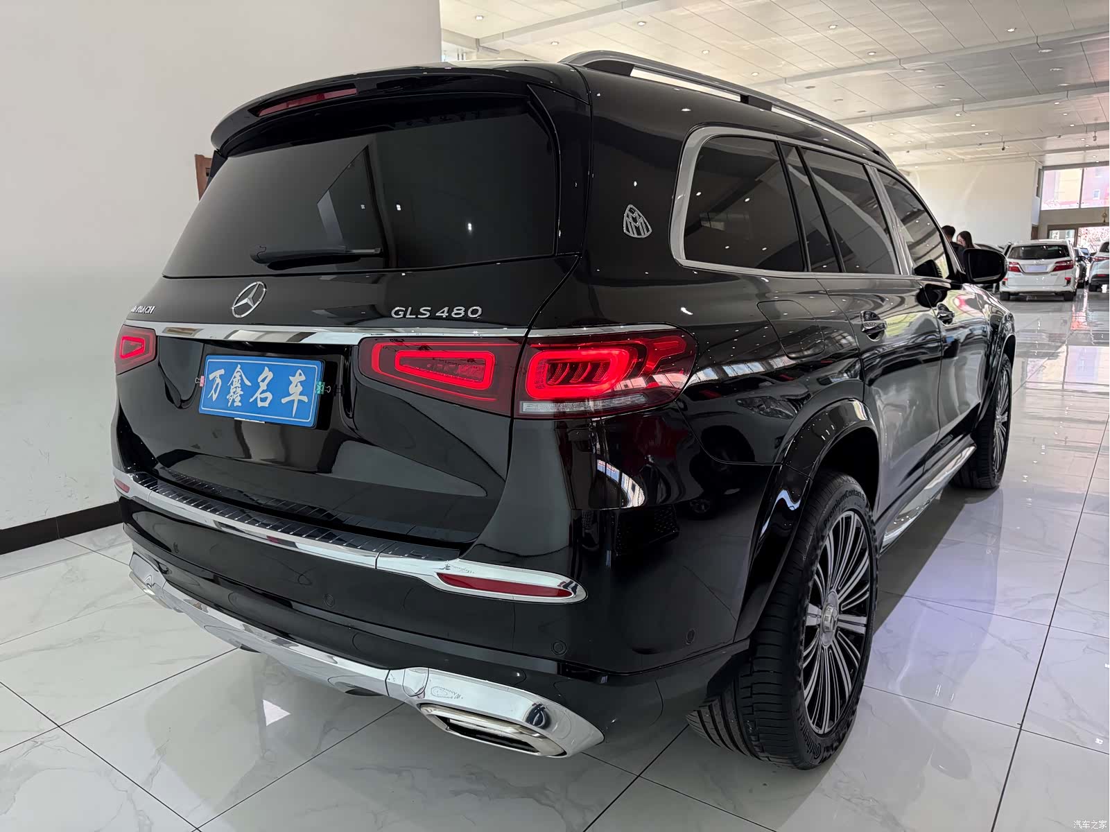 Maybach GLS, 2022 19