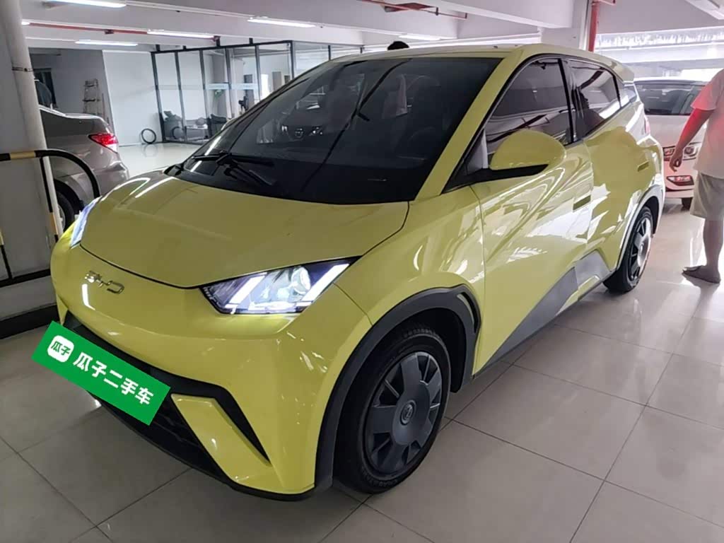 BYD Seagull