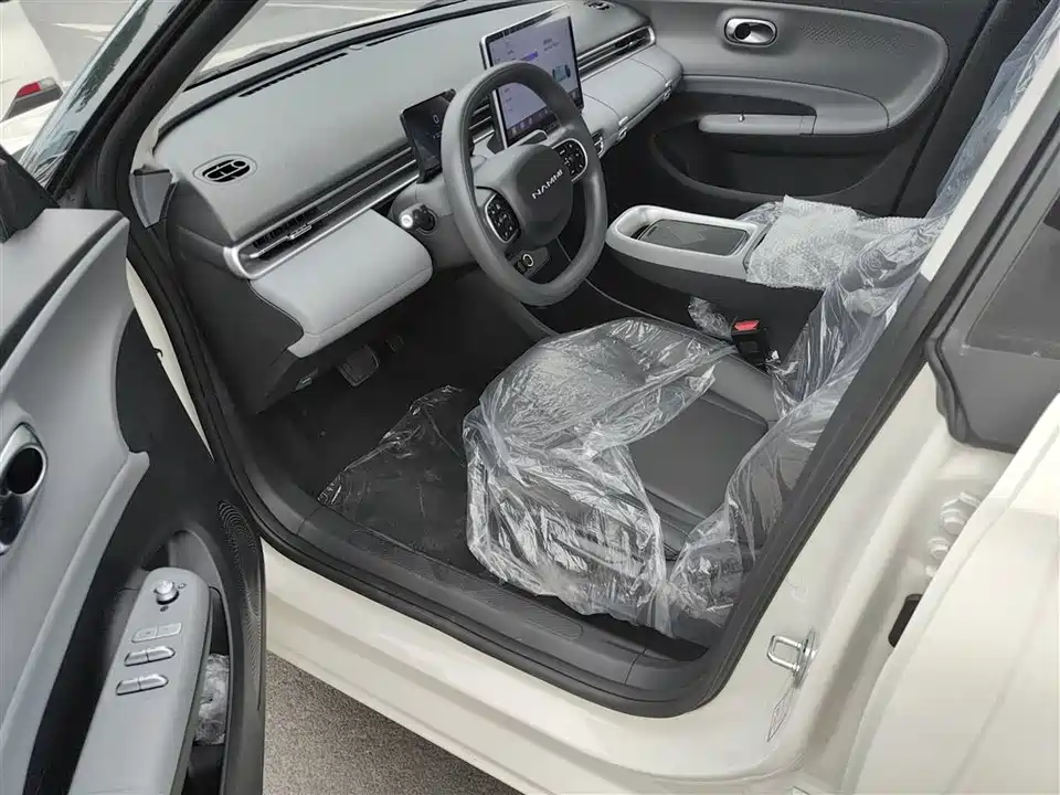 Dongfeng Nammi Nano 01