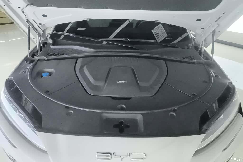 BYD Song, 2024 10