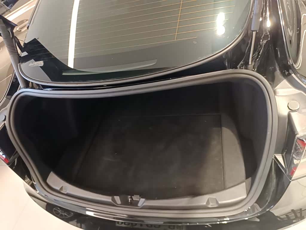 Tesla Model 3, 2021 19