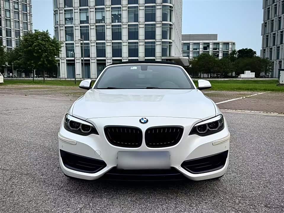 BMW 2 series