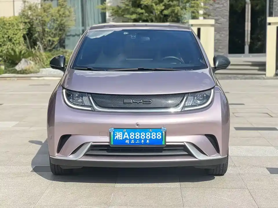 BYD dolphin
