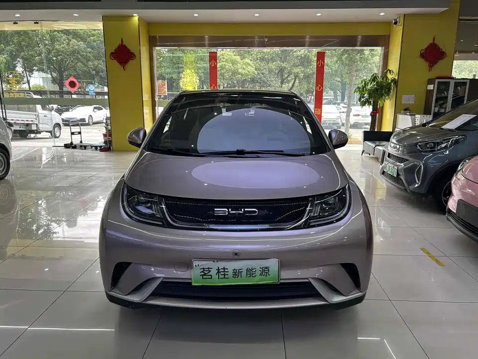 BYD dolphin