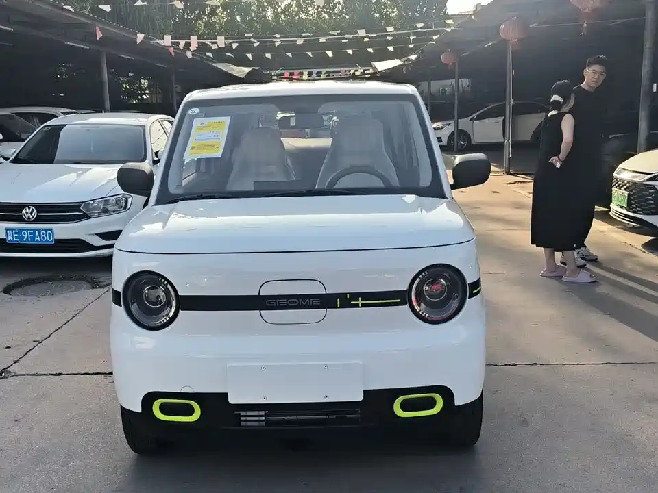 Geely Galaxy panda