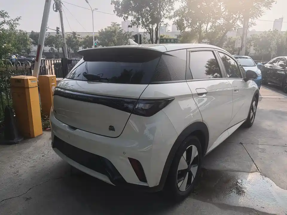BYD dolphin