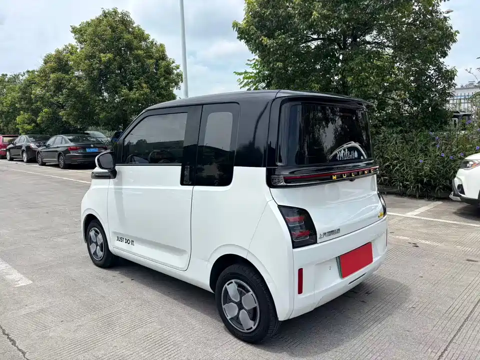Wuling Wuling Air ev Clear Sky