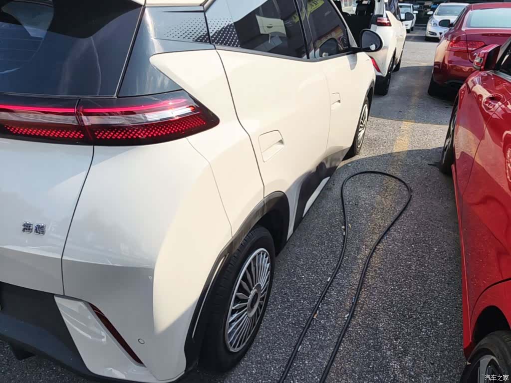 BYD Seagull, 2024 8