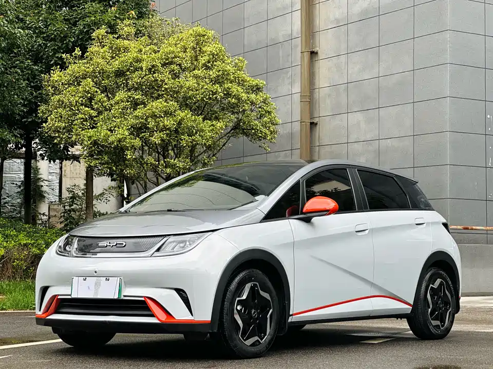BYD dolphin