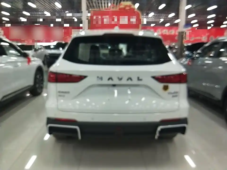 Haval Xiaolong MAX Haval Xiaolong MAX