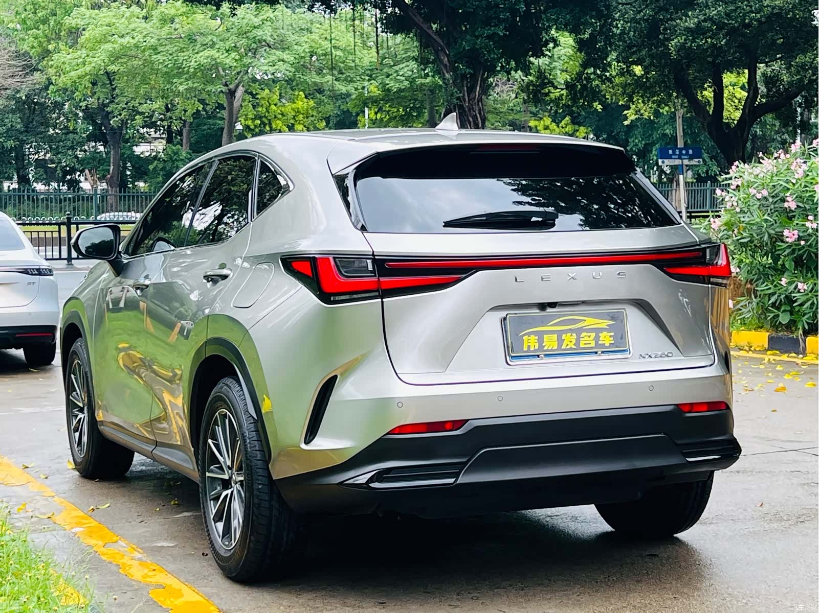Lexus NX, 2024 6
